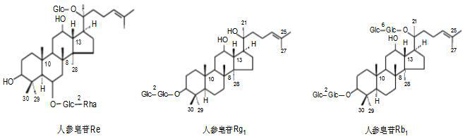 中国药典以人参皂苷Re、Rb1、Rg1为对照品，进行人参及含人参中成药中的皂苷的硅胶TLC鉴定，其展