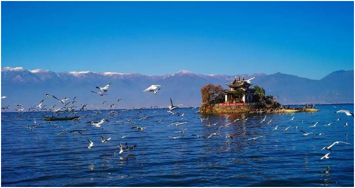 下列湖泊属于云南省最大的淡水湖的是（)。