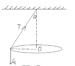 如图2－2所示，一个用绳子悬挂着的物体在水平面上作匀速圆周运动，有人在重力的方向上求合力，写出  F