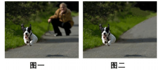 陈晴在制作网页的过程中，要用到一张小狗奔跑的图片（如图一)，他要处理成图二的样子，应该采用：A陈晴在