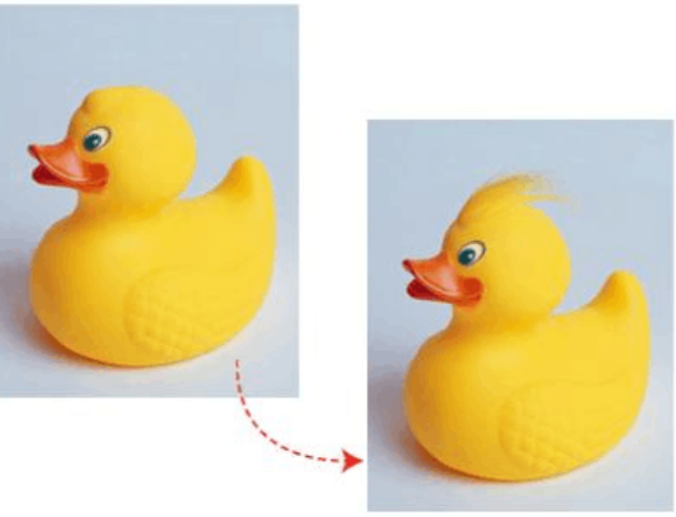 如图所示，在前景色和背景色默认的状态下，在左上图里的鸭子头部使用涂抹工具进行涂抹，得到下右图的结果，