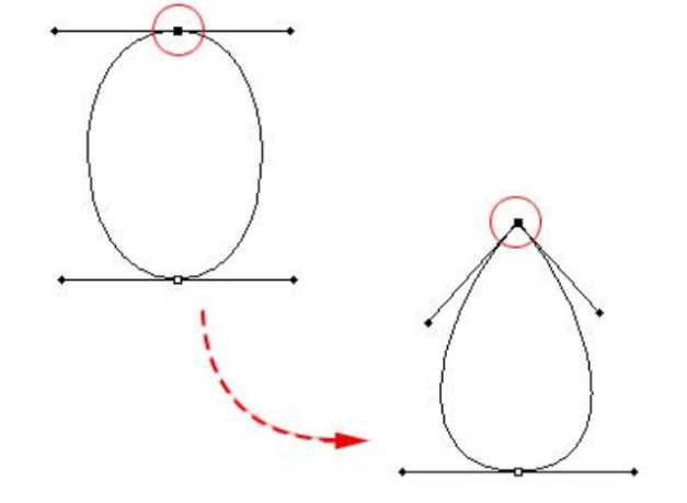 如图所示，下列将平滑曲线点转换成尖角锚点的描述正确的是()。