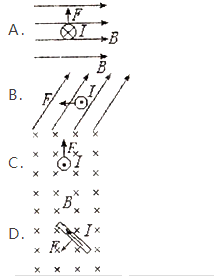 下图各图中，分别画出了磁场B、电流I和安培力F的方向，其中正确的是  （)  A．  B．  C． 