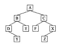 对题6图所示的二叉树进行前序遍历的结果为( )。 