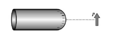 在一个带负电的带电棒附近有一个电偶极子，其电偶极矩P的方向如图所示．当电偶极子被释放后，该电偶极子将