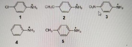 下列各组化合物按酸性从强到弱排列成序正确的是（）。A、5＞2＞4＞1＞3B、3＞1＞4＞2＞5C、2