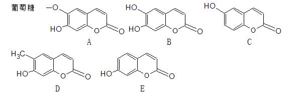 能与Gibb′s试剂反应的成分是（）。
