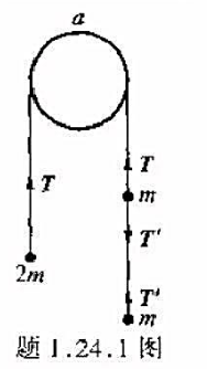 质量为m与2m的两质点，为一不可伸长的轻绳所联结,绳挂在一光滑的滑轮上，在m的下端又用固有长度为α、