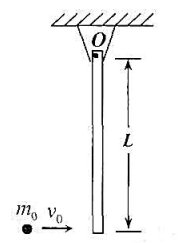 如图所示，一长为L、质量为m、可绕光滑水平轴0无摩擦地转动的均匀细棒，一端悬挂在0点，一质最为mo的