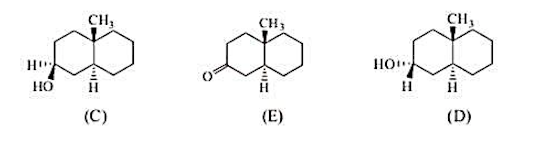 比较下列化合物C和D哪一个较稳定？为什么？从化合物E出发分别合成C和D,各应使用什么试剂？为什么？请