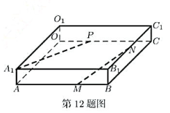 如图，已知长方体OABC- O1A1B1C1中，|OA| = 8, |OC| = 6,|OO1|=1