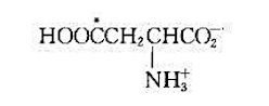 用丙二酸二乙酯、邻苯二甲酰亚胺和CO2合成标记氨基酸