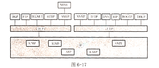 图6-17表示了各应用协议在层次中的位置。（1)简单讨论一下为什么有的应用层协议要使用TCP而有的图