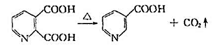 α，β-吡啶二甲酸加热脱羧生成β-吡啶甲酸：试解释脱羧反应发生在α位的原因。α，β-吡啶二甲酸加热脱
