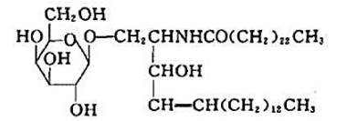 脑苷脂是从神经组织中得到的一种鞘糖脂，其结构简式为如果将脑苷脂水解，可得到哪些水解产物？脑苷脂是从神