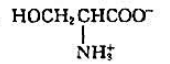 下列氨基酸中，属于碱性氨基酸的是（)。A.B.C.D.请帮忙给出正确答案和分析，谢谢！