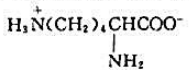 下列氨基酸中，属于酸性氨基酸的是（)。A.B.C.D.