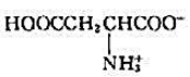 下列氨基酸中，属于酸性氨基酸的是（)。A.B.C.D.请帮忙给出正确答案和分析，谢谢！