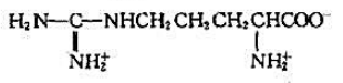 下列氨基酸中，属于酸性氨基酸的是（)。A.B.C.D.请帮忙给出正确答案和分析，谢谢！