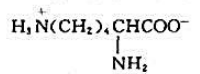 下列氨基酸中，属于中性氨基酸的是（)。A.B.C.D.