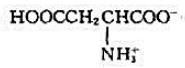 下列氨基酸中，属于中性氨基酸的是（)。A.B.C.D.请帮忙给出正确答案和分析，谢谢！