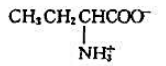 下列氨基酸中，属于中性氨基酸的是（)。A.B.C.D.请帮忙给出正确答案和分析，谢谢！