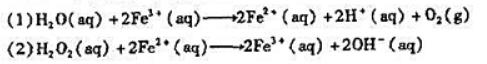 Fe3+可以作为H2O2歧化（分解)反应的催化剂.若该反应的机理为总反应:2H2O2Fe3+可以作为