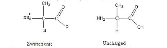 丙氨酸在等电点时，净电荷为零。净电荷为零时，丙氨酸的结构式如下所示有两种，但是在等电点时丙氨酸的主要