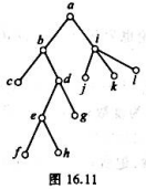 根树T如图16.11所示。（1)T是几叉树？要将T变成正则树至少要加几个顶点，几条边？（2)T有几个
