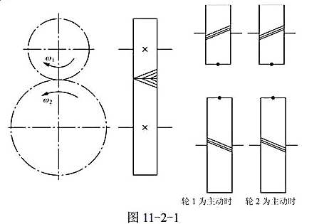 设斜齿圆柱齿轮传动的转动方向及螺旋线方向如图11-2-1所示，试分别画出轮1为主动时和轮2为主动时轴