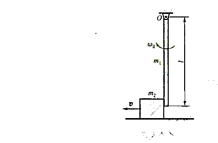 一均质杆的质量为m1，长为，其上端固定在圆柱铰链O上，如图所示。杆由水平位置落下，其初速为零。杆在铅