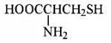 半胱氨酸是氨基酸的一种，其构造式如下所示：（1)它在生物氧化中生成胱氨酸（C6H12N2O半胱氨酸是