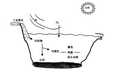 違法和不良信息舉報 在線客服工業和生活汙水是環境汙染的重要來源