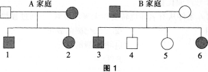 图1是A、B两个家庭的色盲遗传系谱图，A家庭的母亲是色盲患者（图中●），这两个家庭由于某种原因调换了
