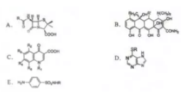 青霉素类药物的基本结构是（)青霉素类药物的基本结构是()