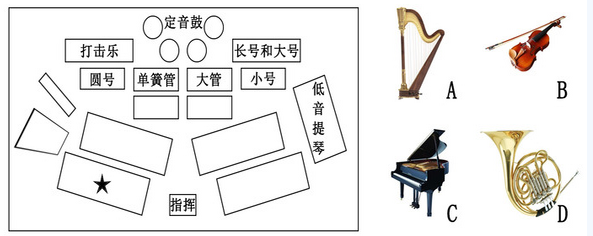 多数交响乐团所采用的美式乐队席位排列法,★的位置应该排列哪种乐器?