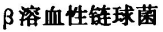 急性肾小球肾炎的病因绝大多数与下列哪种微生物感染有关A.乙肝病毒B.巨细胞病毒C.D.沙眼衣原体E.