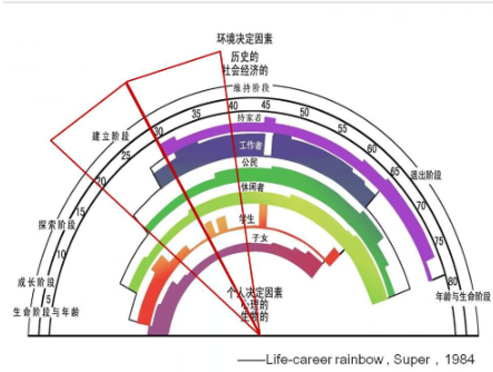 舒伯的生伯彩虹图以一个个体为例描绘生涯，以下对生涯彩虹图的解读，有误的是：()