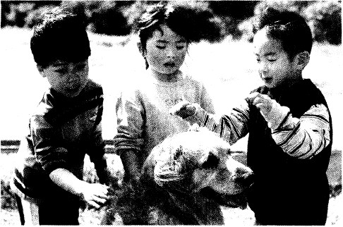 听力原文：（A) The boy on the right slaps the dog with t