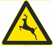 这个标志是何含义？ A. 注意野生动物B. 注意牲畜C. 动物公园D. 开放的牧区这个标志是何含义？