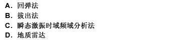 混凝土无损检测中，主要用于大面积混凝土质量检测的方法是（）。