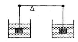 如右图所示的杠杆两端分别挂有体积相同、质量不等的金属块，杠杆处于平衡状态；将两个金属块浸入两种密度相