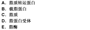 脂蛋白中的蛋白质部分称为 