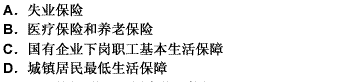 当前建立和完善社会保障体系首先要坚持完善的“保障线”制度包括（）。此题为多项选择题。请帮忙给出正确答