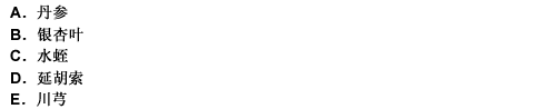 治疗喘息性支气管炎的药物是（）