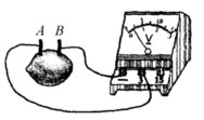 把两种不同的金属片插入柠檬，制成“水果电池”，用电压表测量水果电池的电压，如图所示．下列说法正确的是