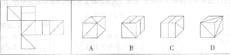 左边给定的是纸盒的外表面，下列哪一项能由它折叠而成？ A.①②③，④⑤⑥B.①③⑥，②④⑤C.①④⑤