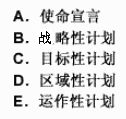 社会服务机构规划大致分为（）。