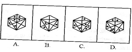 下面所给的四个选项中，哪一项是由左边给定的图形折成的？（)下面所给的四个选项中，哪一项是由左边给定的