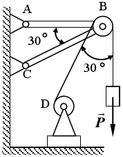 物体重P＝20kN，用绳子挂在支架的滑轮B上，绳子的另一端接在绞D上，如图所示。转动绞物体便能升起。
